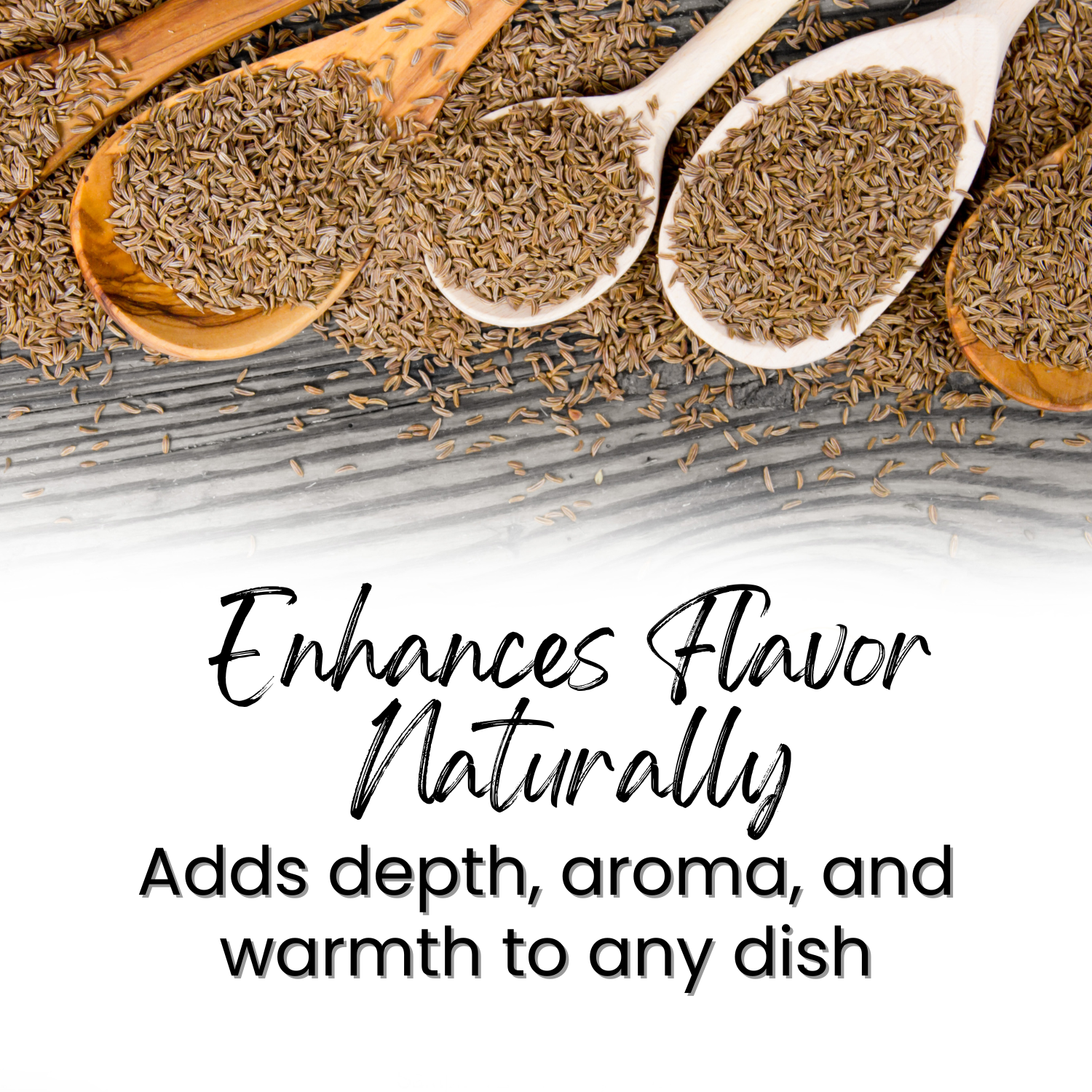 SAPTRISHI Jeera cumin seeds prepared for biryani seasoning