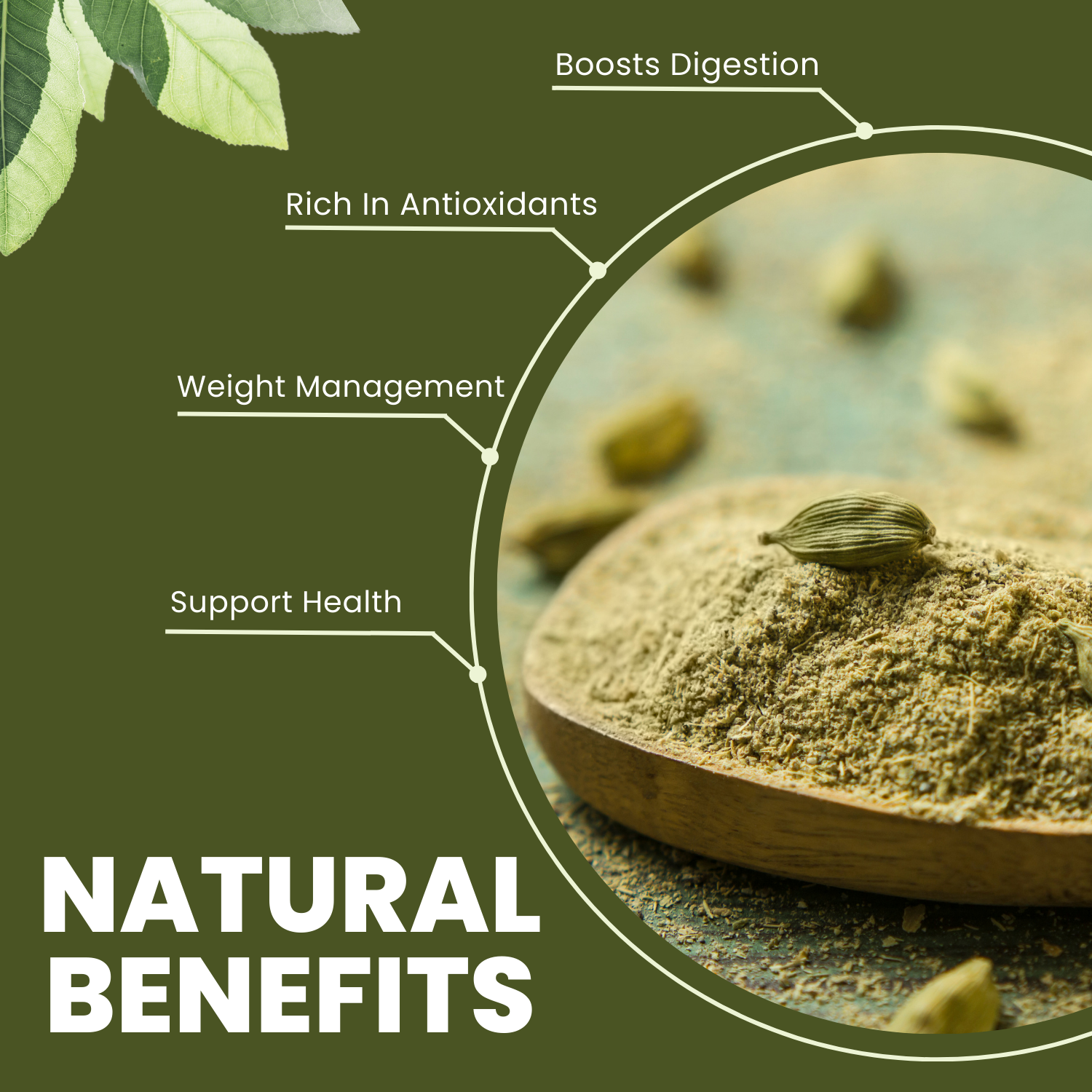 SAPTRISHI Elaichi Powder
